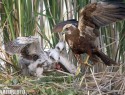 motak-pochop-113356.jpg