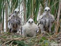 motak-pochop-113294.jpg
